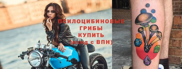a pvp Богородск