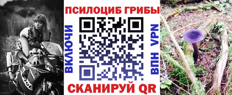 как найти закладки Вуктыл Псилоцибиновые грибы Psilocybine cubensis