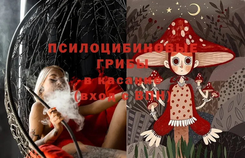 Галлюциногенные грибы MAGIC MUSHROOMS  Вуктыл 