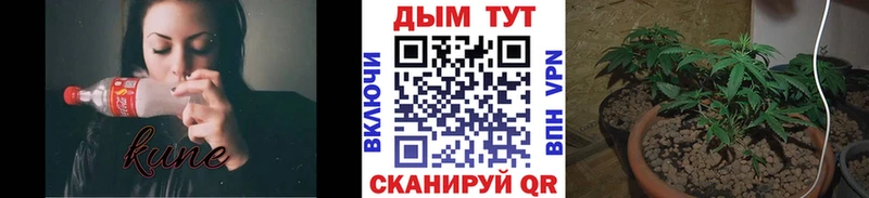 гидра вход Вуктыл Канабис THC 21%